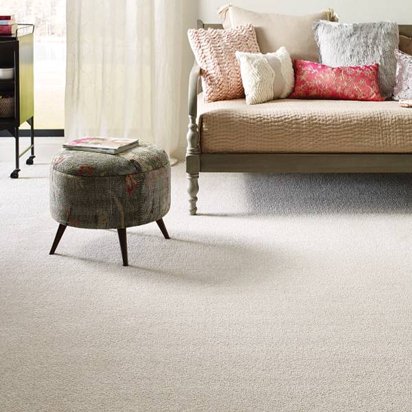 Living room with Shaw Carpet | Color Interiors
