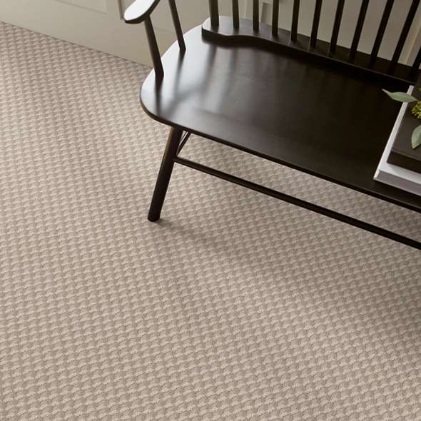 Carpet Flooring | Color Interiors