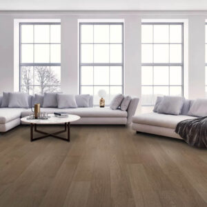 Karastan Laminate in Living Room | Color Interiors