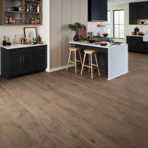 Karastan Laminate in Dining Room | Color Interiors