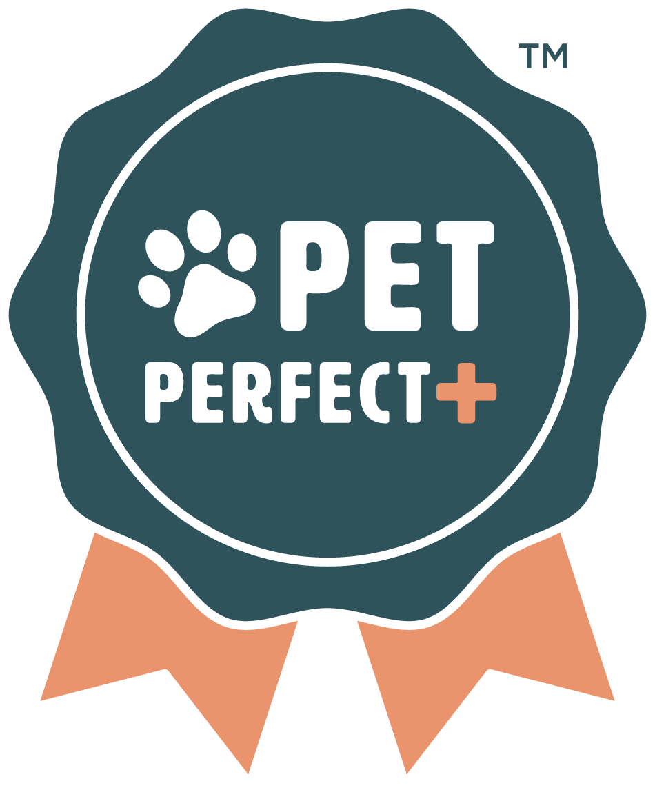 Pet-Perfect | Color Interiors