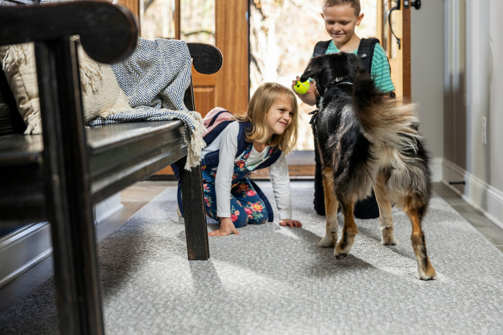 Kids playing with dog on carpet floor