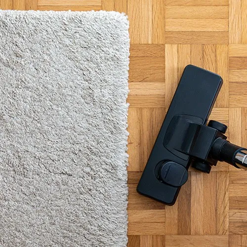 BasicCare-AreaRugs Area Rugs Care | Color Interiors
