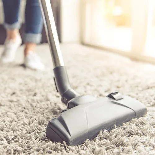 Carpet-Basic-Care Carpet Care | Color Interiors
