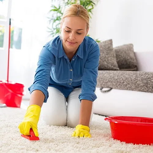 Carpet-Stains Carpet Stain Daily Care | Color Interiors