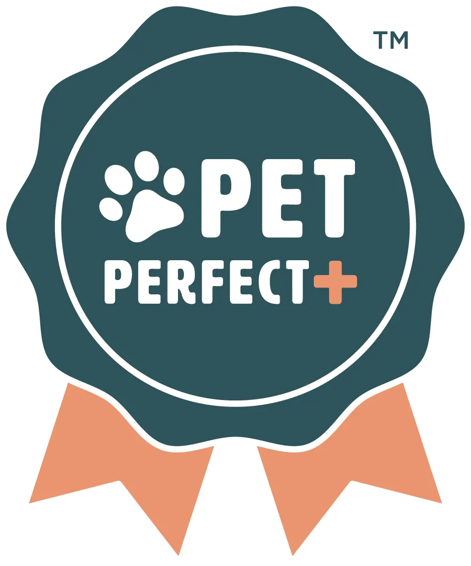 Pet-Perfect | Color Interiors