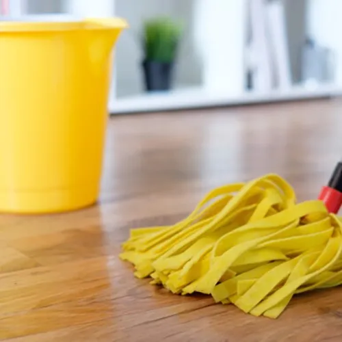 Vinyl-Flooring-Basic-Care Vinyl Floor Cleaning | Color Interiors