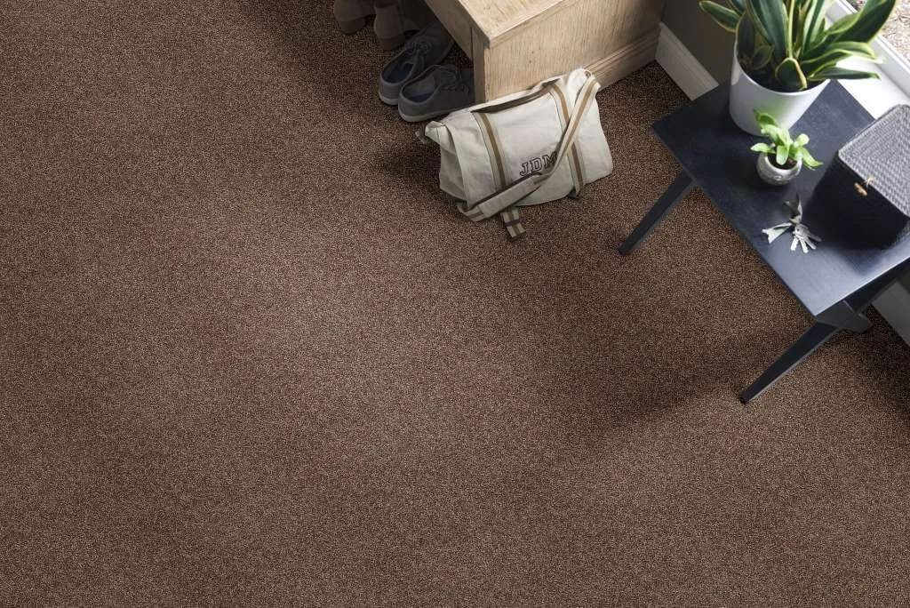 bark Bark In stock Flooring | Color Interiors