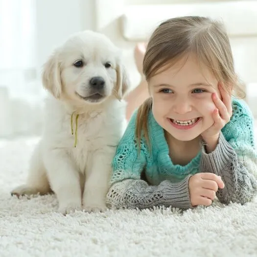 carpet-pet-square