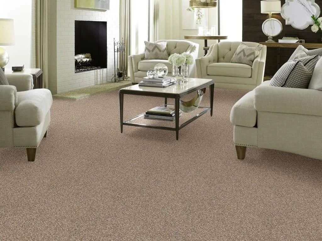 clam-Shell Clam Shell In stock Flooring | Color Interiors