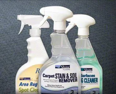 r2x-bottles Floor Cleaning Supplies | Color Interiors