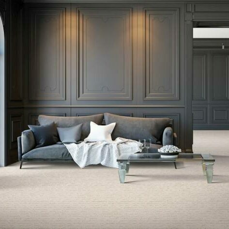 Carpet | Color Interiors