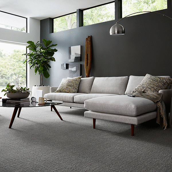 Carpet Flooring | Color Interiors